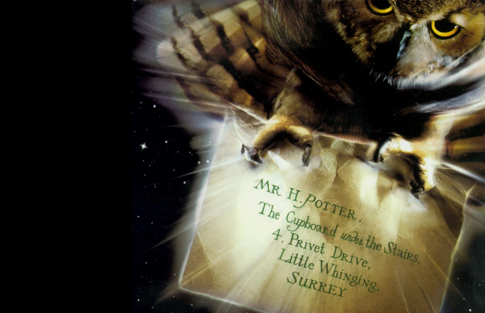 Featured image of post Aesthetic Harry Potter Wallpaper Owl See more ideas about owl beautiful owl pet birds