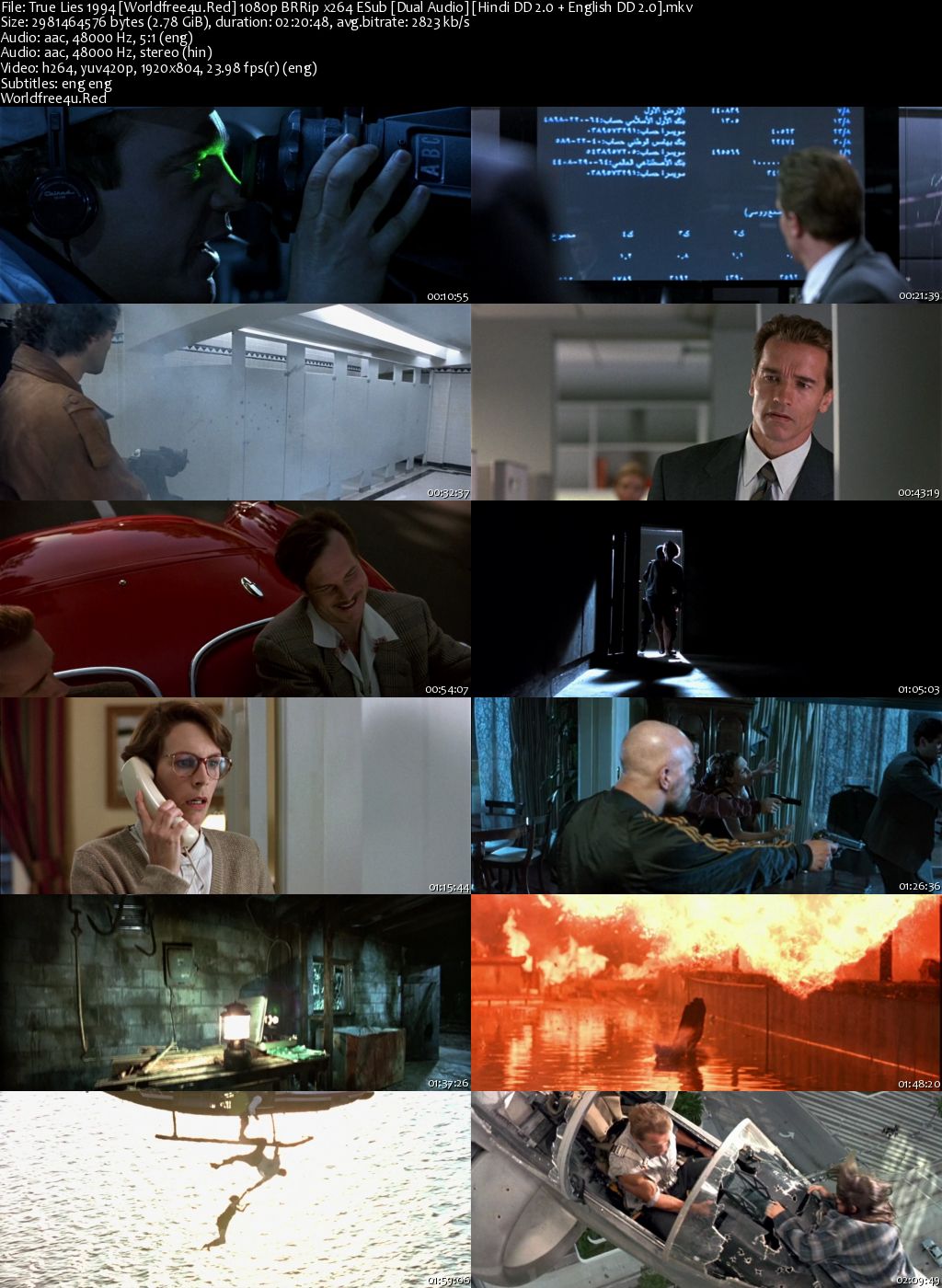 True Lies 1994 BRRip 1080p Dual Audio