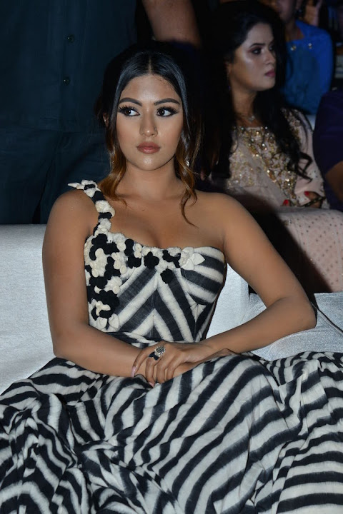 Anu Emmanuel at Naa Peru Surya Naa Illu India Pre Release Event