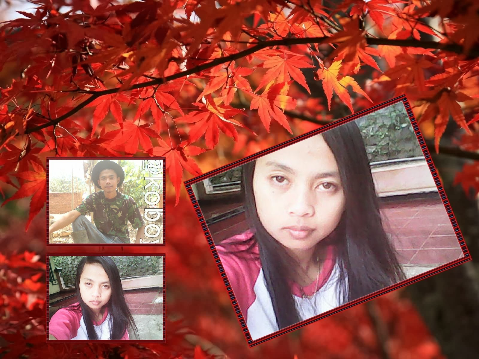 Cara Edit Foto Sederhana dengan Software Photoshine BIMBEL ONLINE