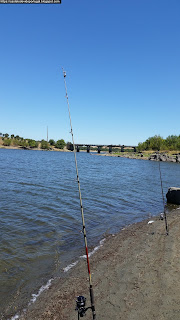 DAM, FISH / Barragem do Maranhão, Zonas de Pesca, Castelo de Vide, Portugal