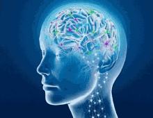 Instituto Latinoamericano de Neurociencias