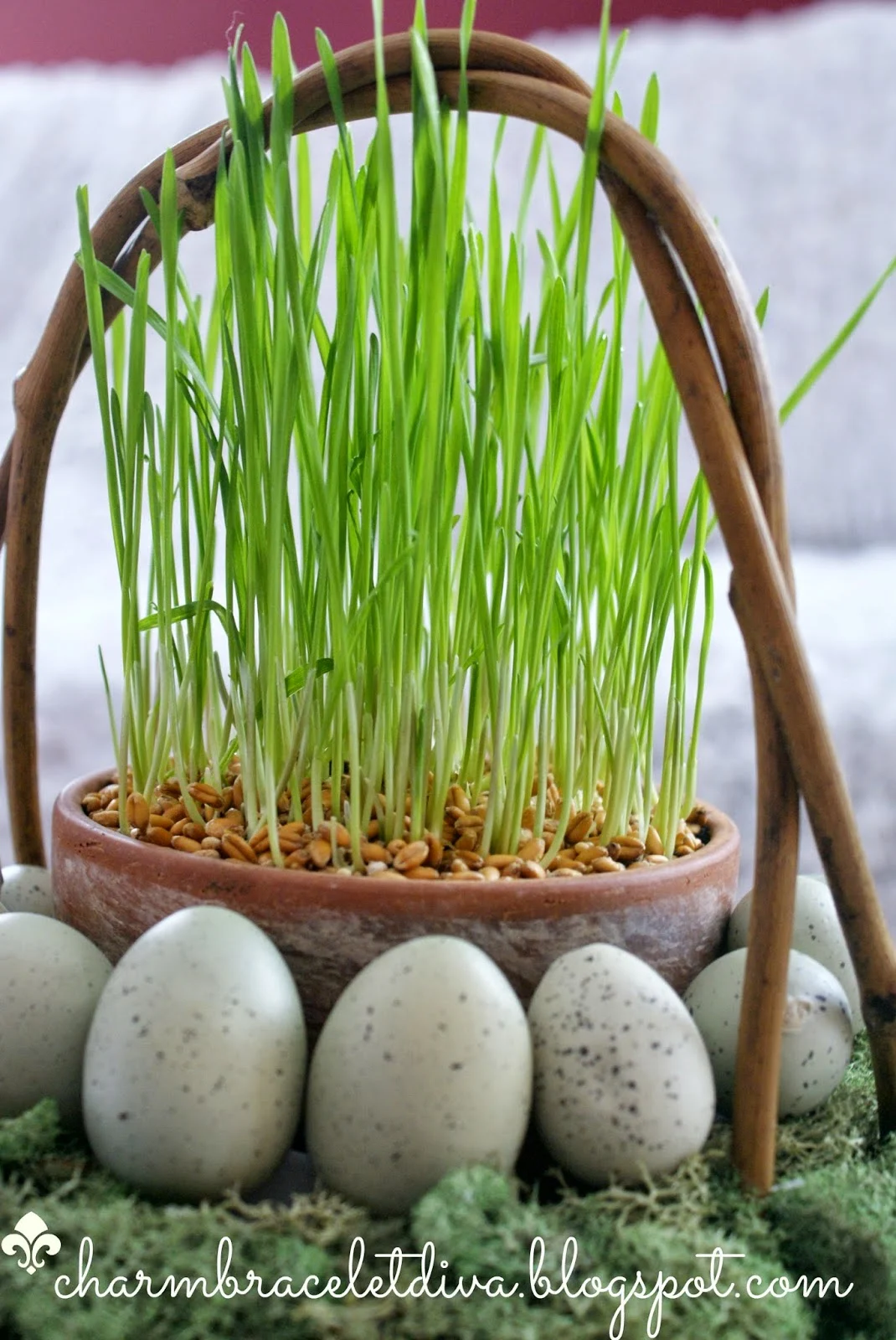 mossy Easter basket filled with wheat grass and robin's eggs