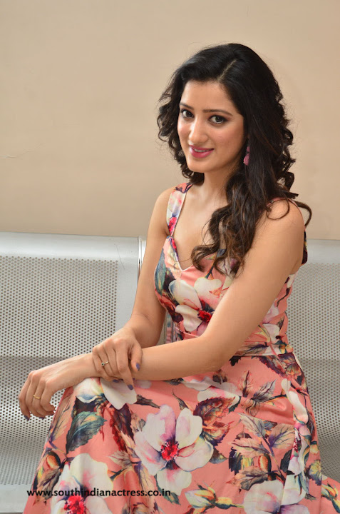 Richa Panai at Rakshaka Bhatudu Movie Pre Release