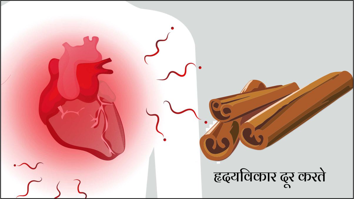 Cinnamon In Marathi