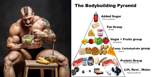 Why It Is A Must For You To Follow A Muscle Building Diet - Bodydulding