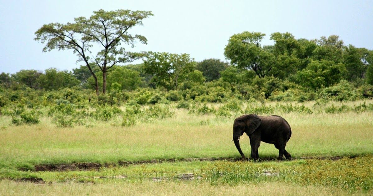 Proper Mileage Zimbabwe the Land