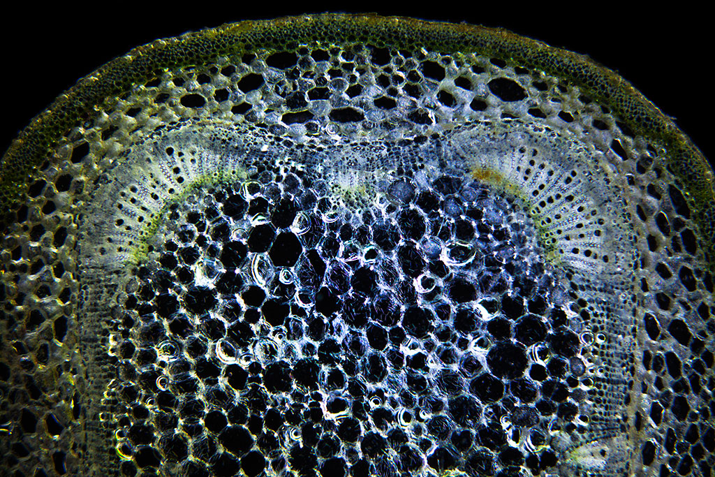 aquamax das Weblog zur Website Februar 2013 aquamax das Weblog zur Website Februar 2013
