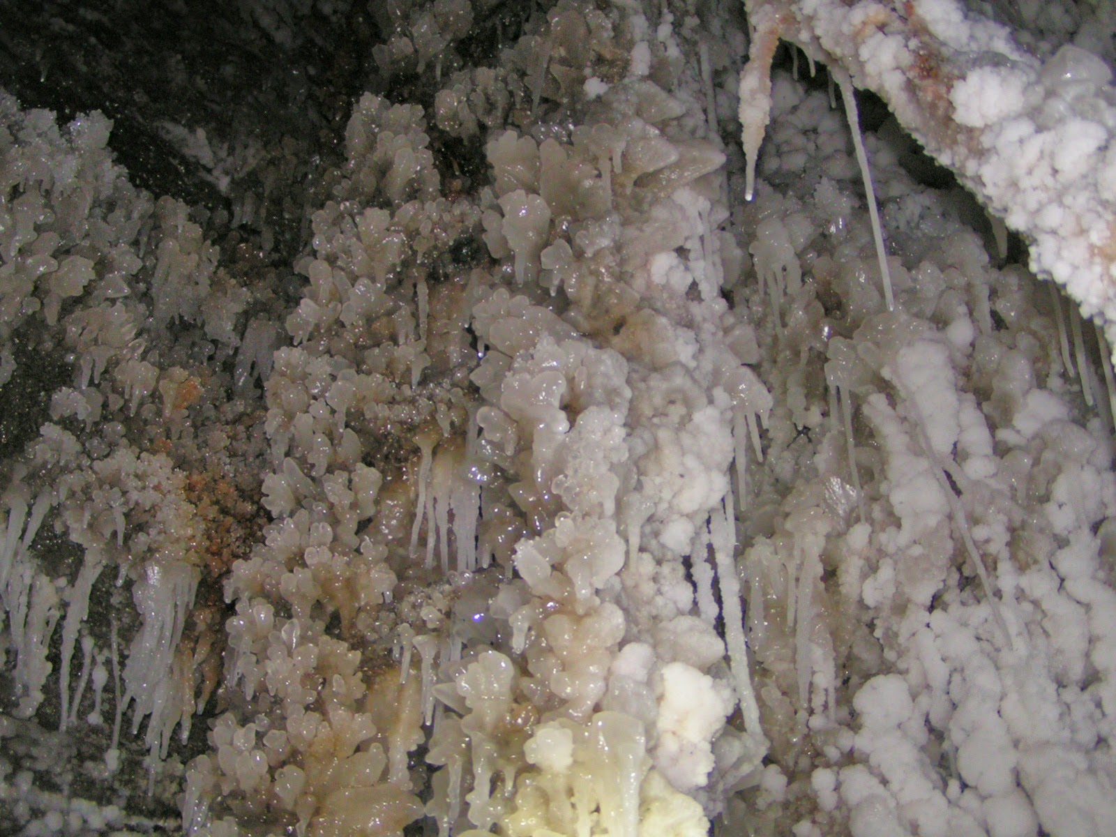 Red River Ford >> Heroes, Heroines, and History: The Detroit Rock Salt Mine Red River Ford >> Heroes, Heroines, and History: The Detroit Rock Salt Mine