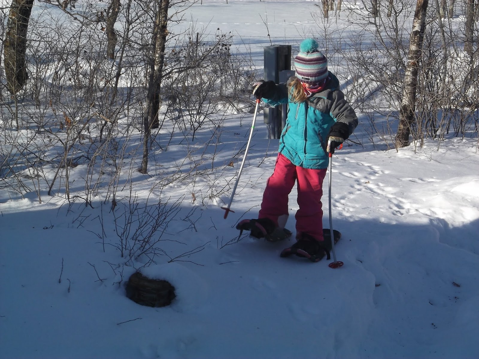 Pen and Ink...and maybe some paint Snowshoeing 101...