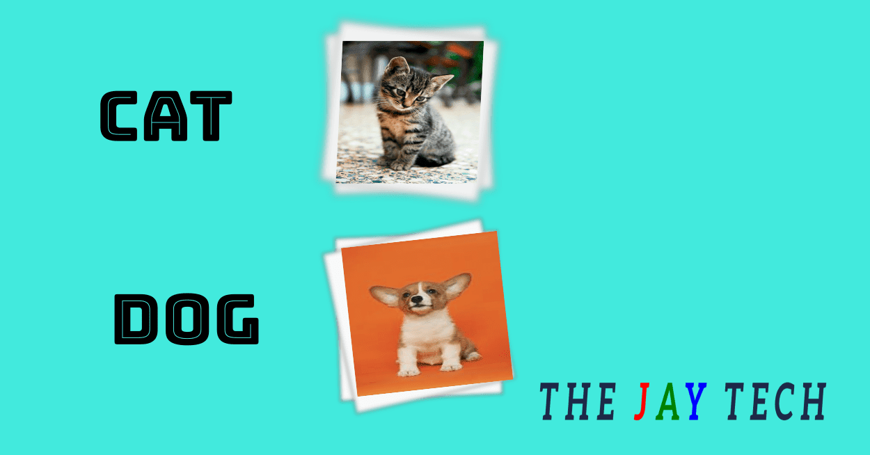 20 Computer Vision Projects and Applications to learn with Deep