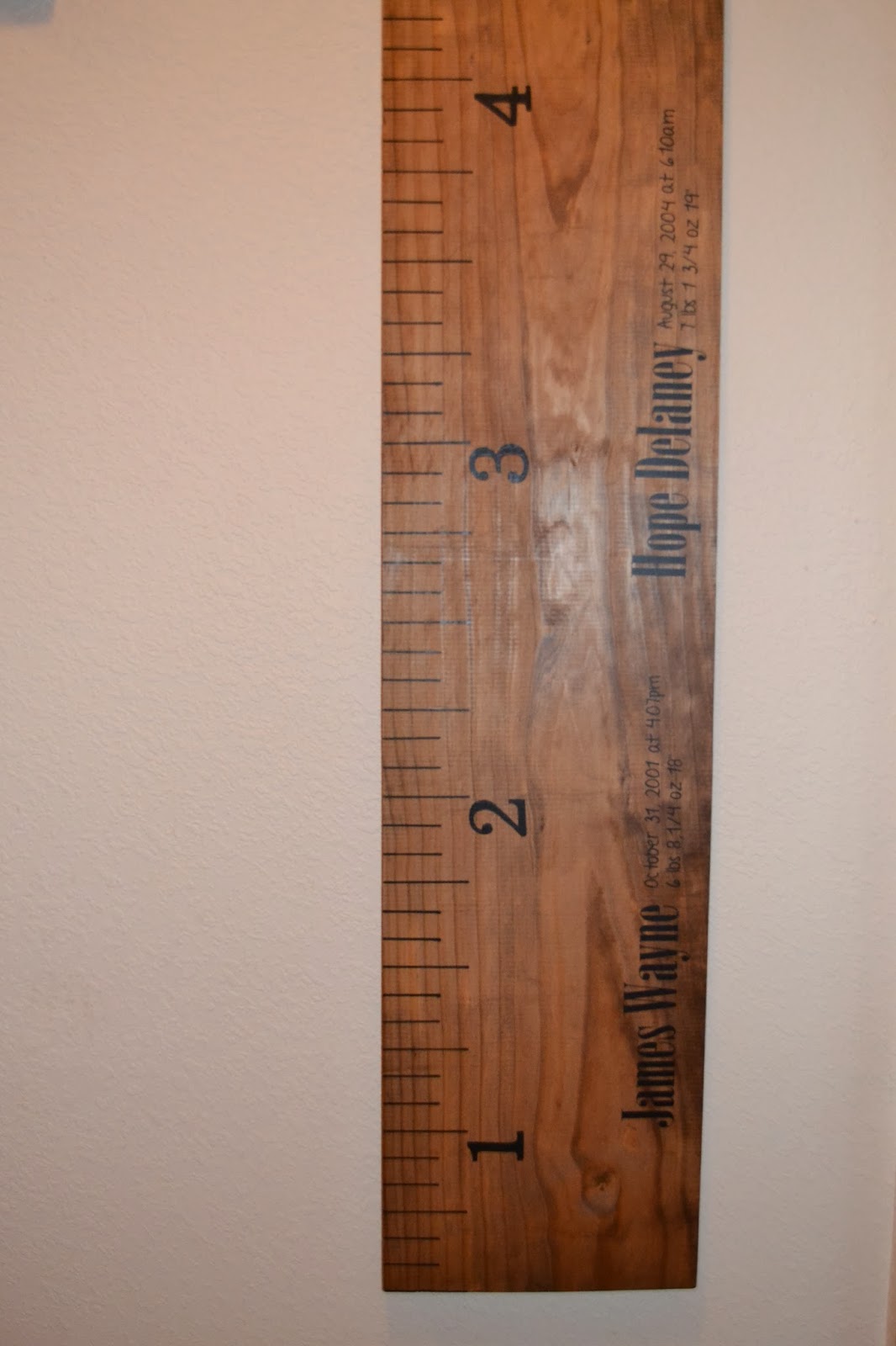 Heidi's Bored - The Pinterest Test: DIY Children's Growth Ruler