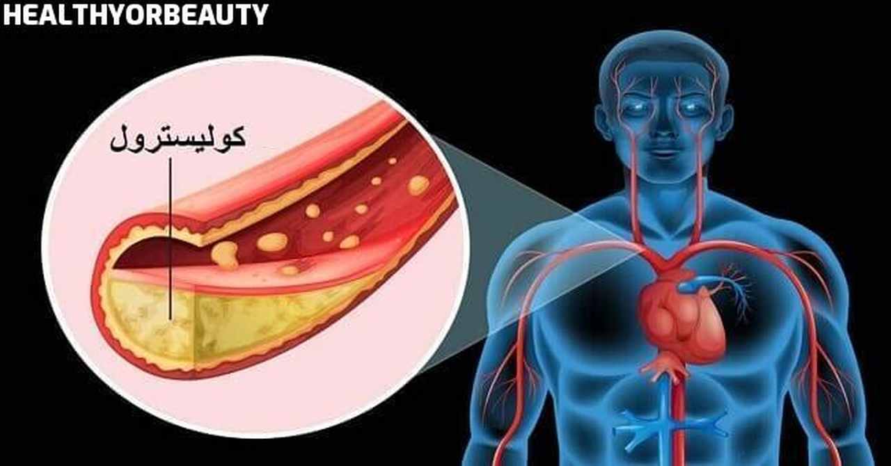 فوائد الكولسترول للجسم