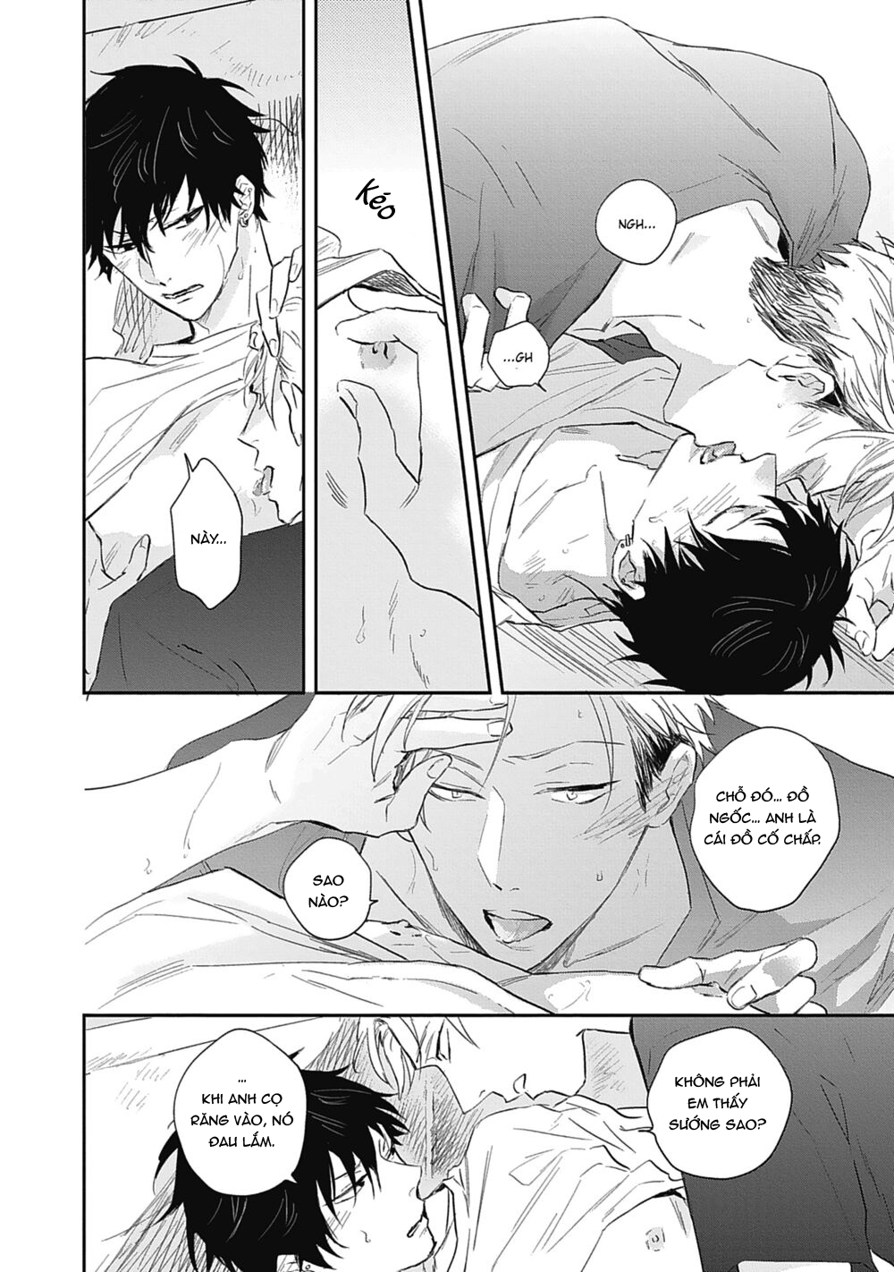 Đọc truyện Sugar my baby - Chapter 5