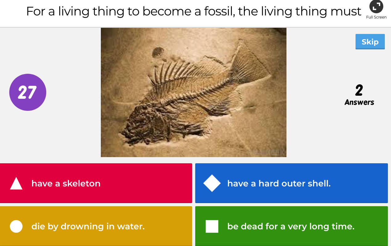 Sensational Fifteen & Sixteen! Fossils Fun!