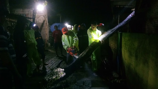 Fast Responsip BPBD Dalam Penanggulangan Pohon Tumbang Di Kelurahan Kotakulon Fast Responsip BPBD Dalam Penanggulangan Pohon Tumbang Di Kelurahan Kotakulon