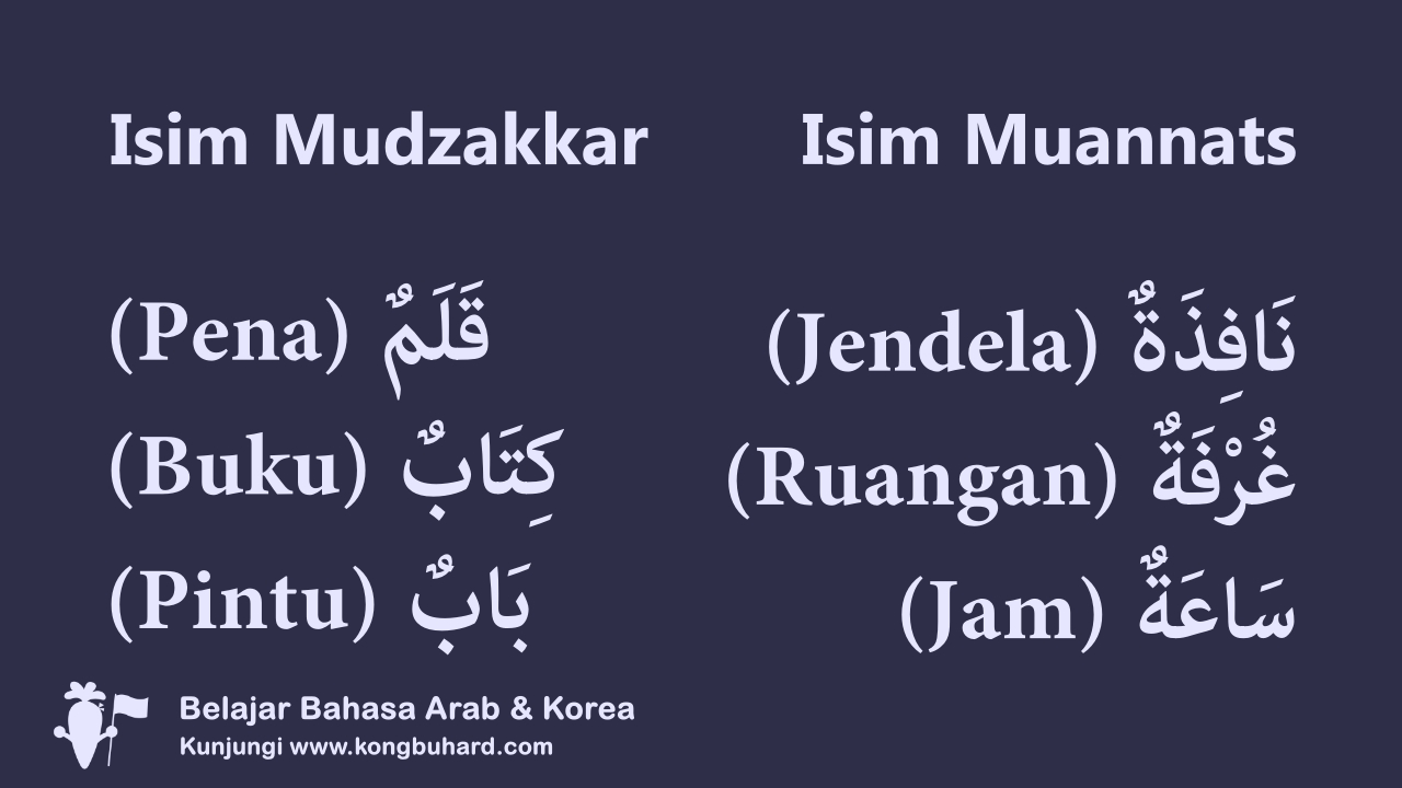 Apa Itu Isim Mudzakkar Dan Muannats? Pembahasan, Pengertian, CiriCiri
