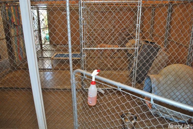 wellington Strange Real Estate Listings 3