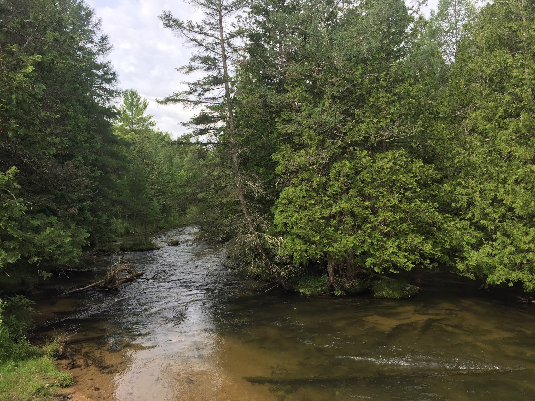 Travel Reviews & Information Mancelona and East Jordan, Michigan