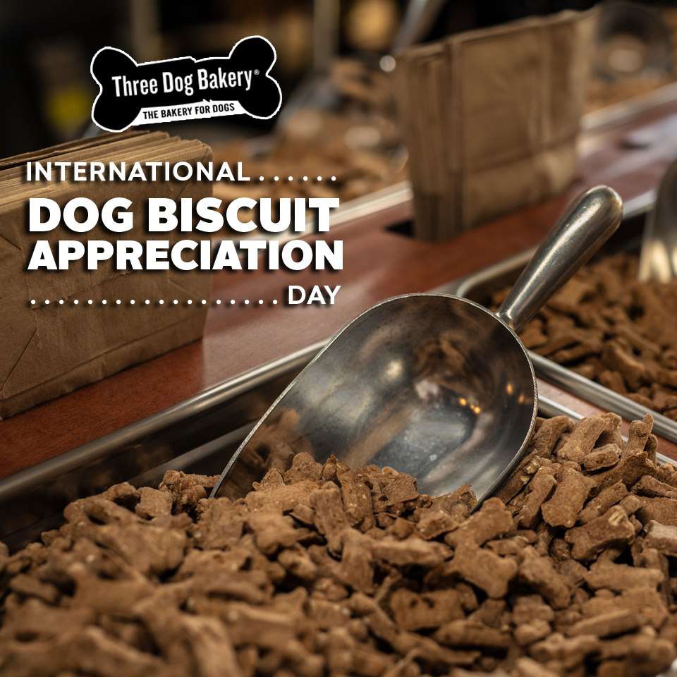 International Dog Biscuit Appreciation Day Wishes Images download