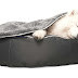 How to  Choose the Right Dog Bed