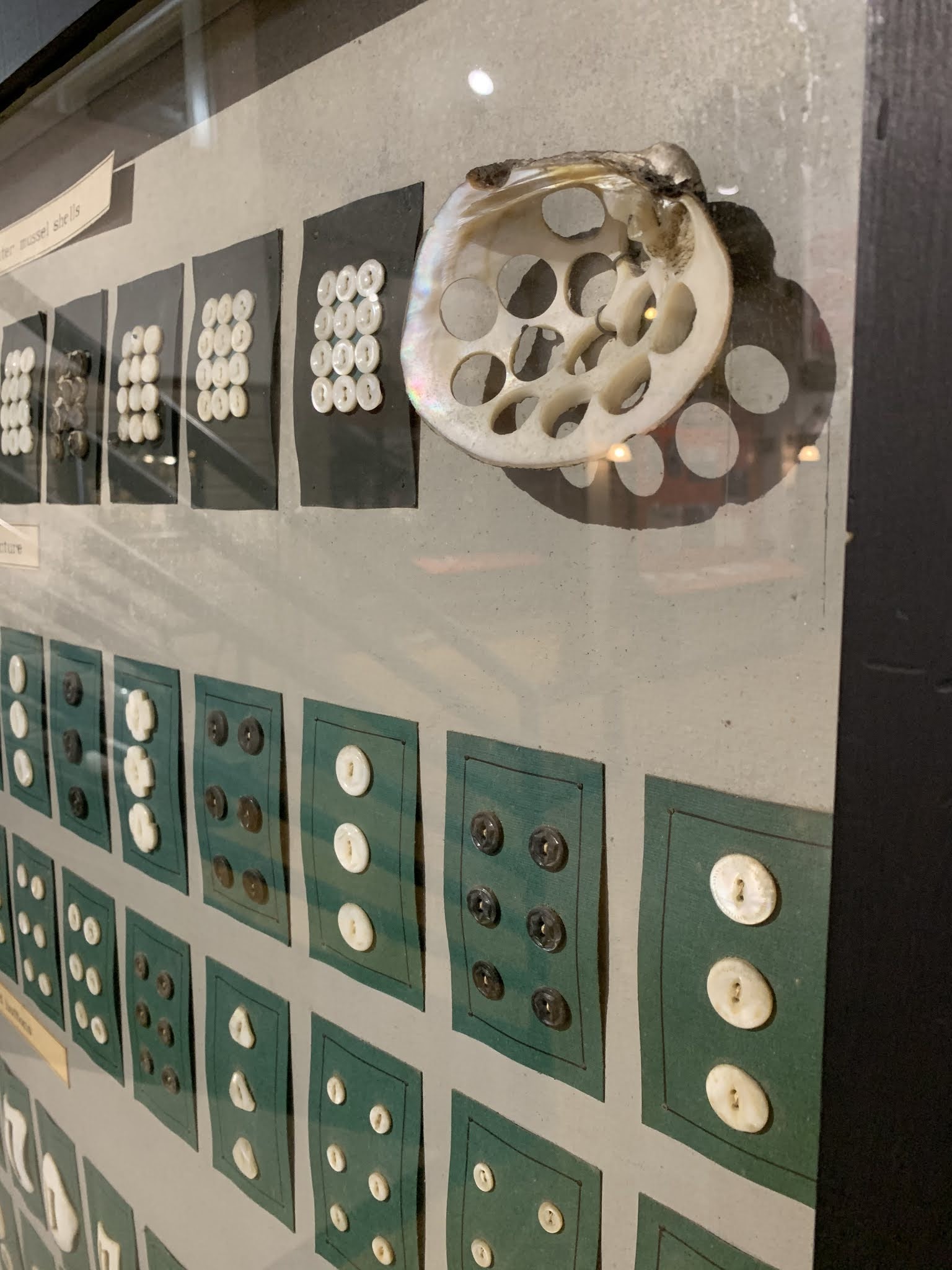 Muscatine, Iowa hiking, beer, buttons