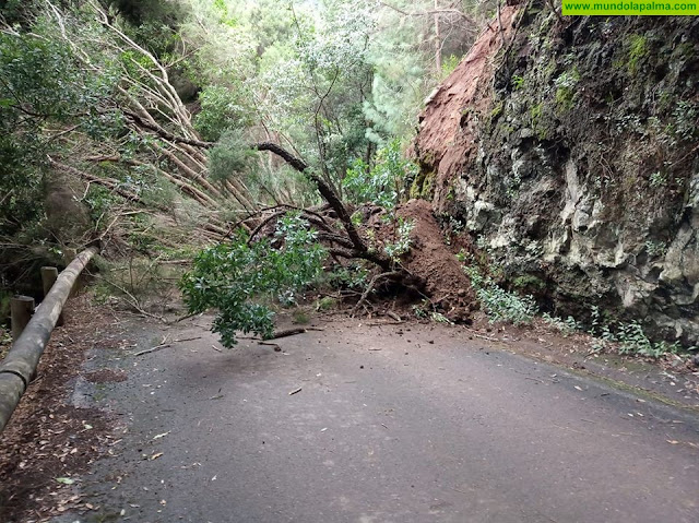 Derrumbe en la carretera de Las Mimbreras