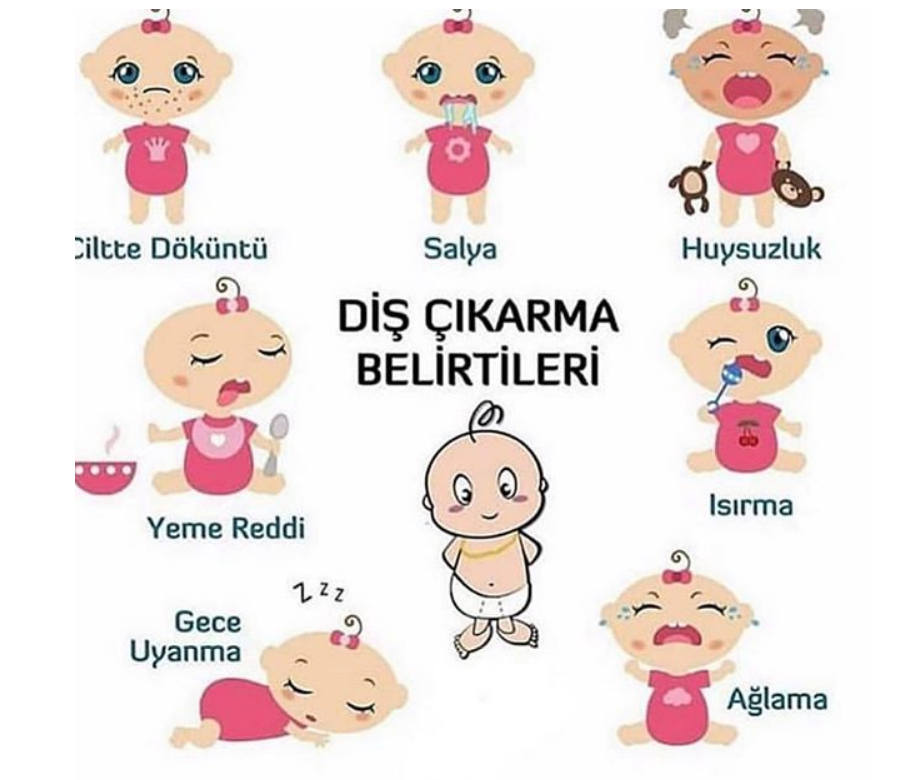 bebeklerde dis cikarma donemleri