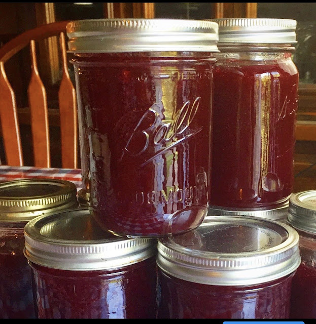 Homemade Grape Jam