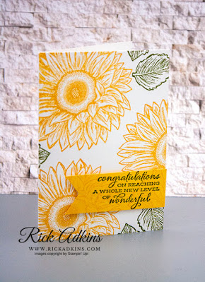 Celebrate Sunflowers Stamp Set, Whisper White note cards & Envelopes, Daffodil Delight classic Ink, Old Olive Classic Ink, Stampin' Up!, Rick Adkins