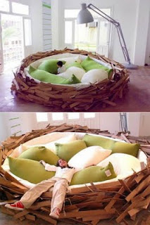 Bird+Nest+Bed.jpg