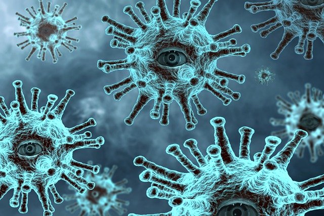 What is the most important lesson we should learn from Corona Virus Covid-19 in the future?