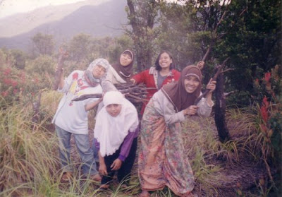 Gunung Papandayan Cisurupan Garut Jawa Barat Gunung Papandayan
