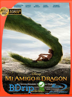 Mi Amigo el Dragón (2016) BDRip [1080p] Latino [Google Drive] Panchirulo