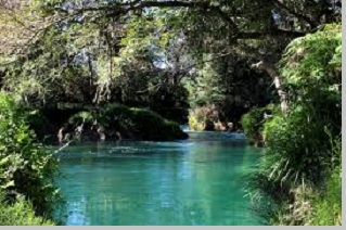 Macam Macam Ekosistem Beserta Contoh Ekosistem Dengan Gambarnya Pustakapengetahuan Com