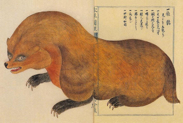 Иллюстрации животных от Takagi Haruyama