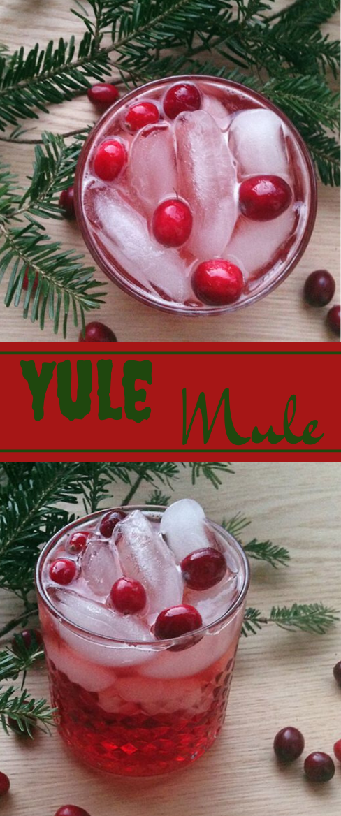 YULE MULE #healthydrink #mule #party #smoothie #sangria 