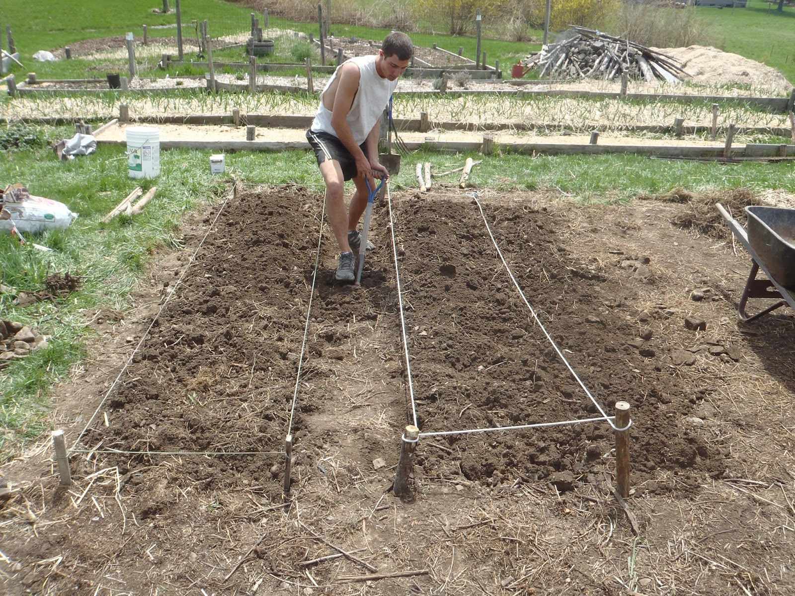 Have You Ever Picked A Carrot?: Home Garden Plot Part I: Use what you got