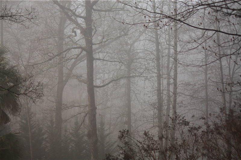 Knit, Click, & Stir Foget About It