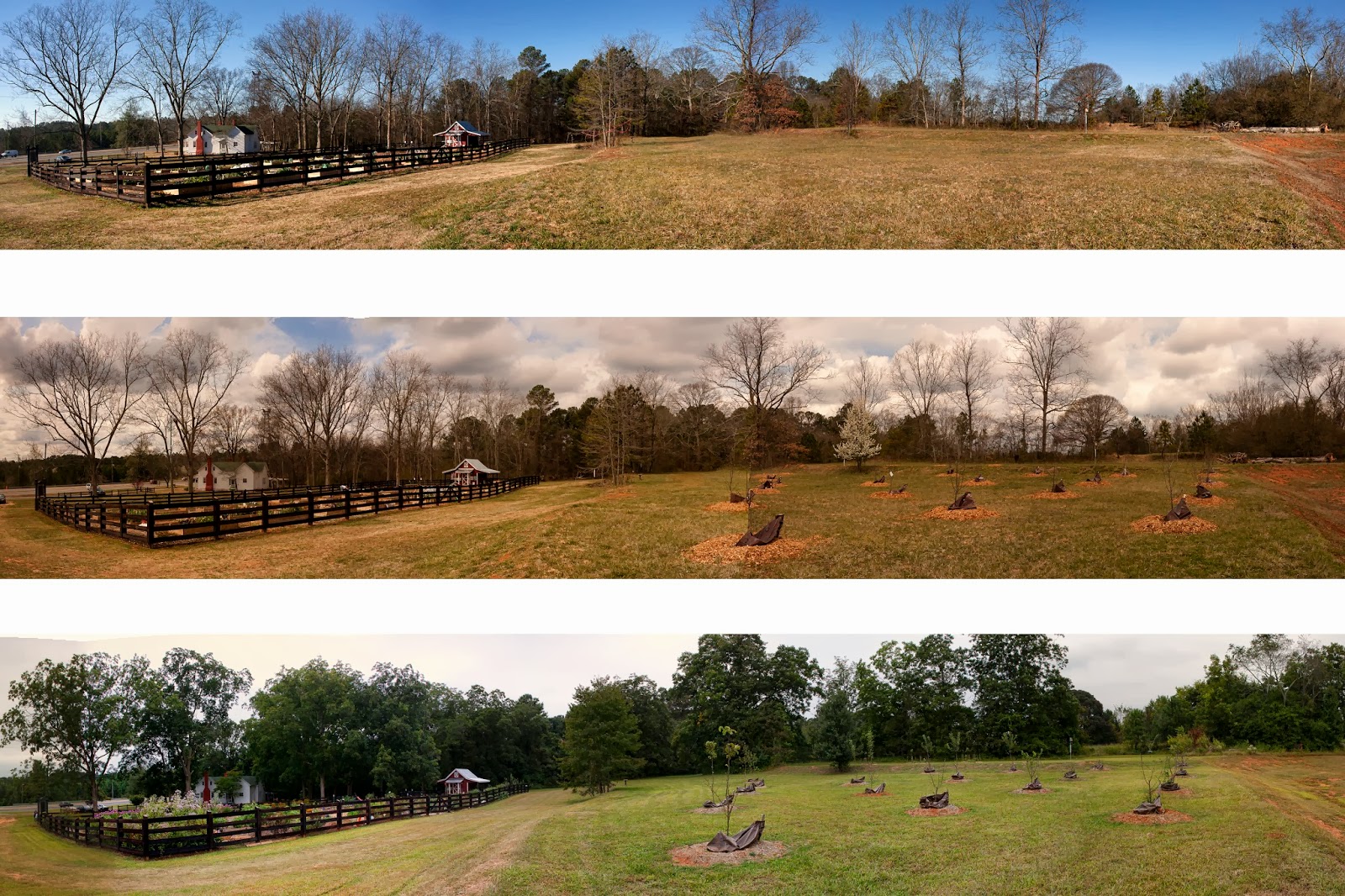 Green Meadows Community Garden September 2013