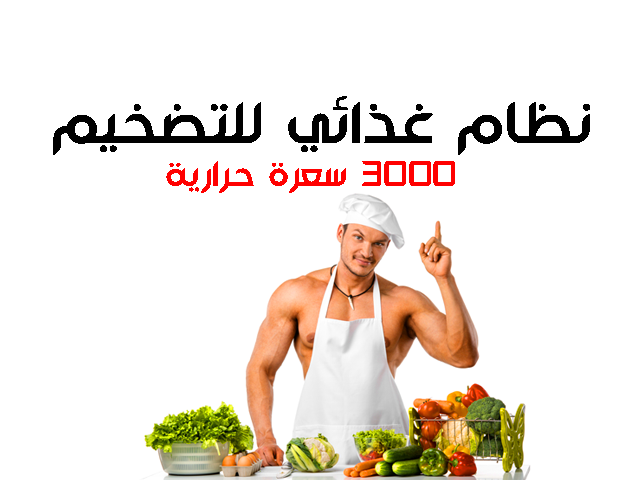 نظام غذائي للتضخيم 3000 سعرة حرارية نظام غذائي للتضخيم 3000 سعرة حرارية