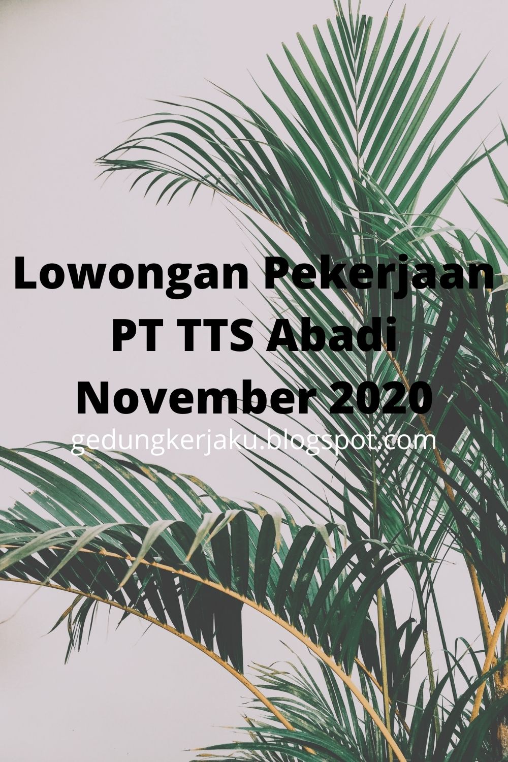 Lowongan Pekerjaan PT TTS Abadi November 2020