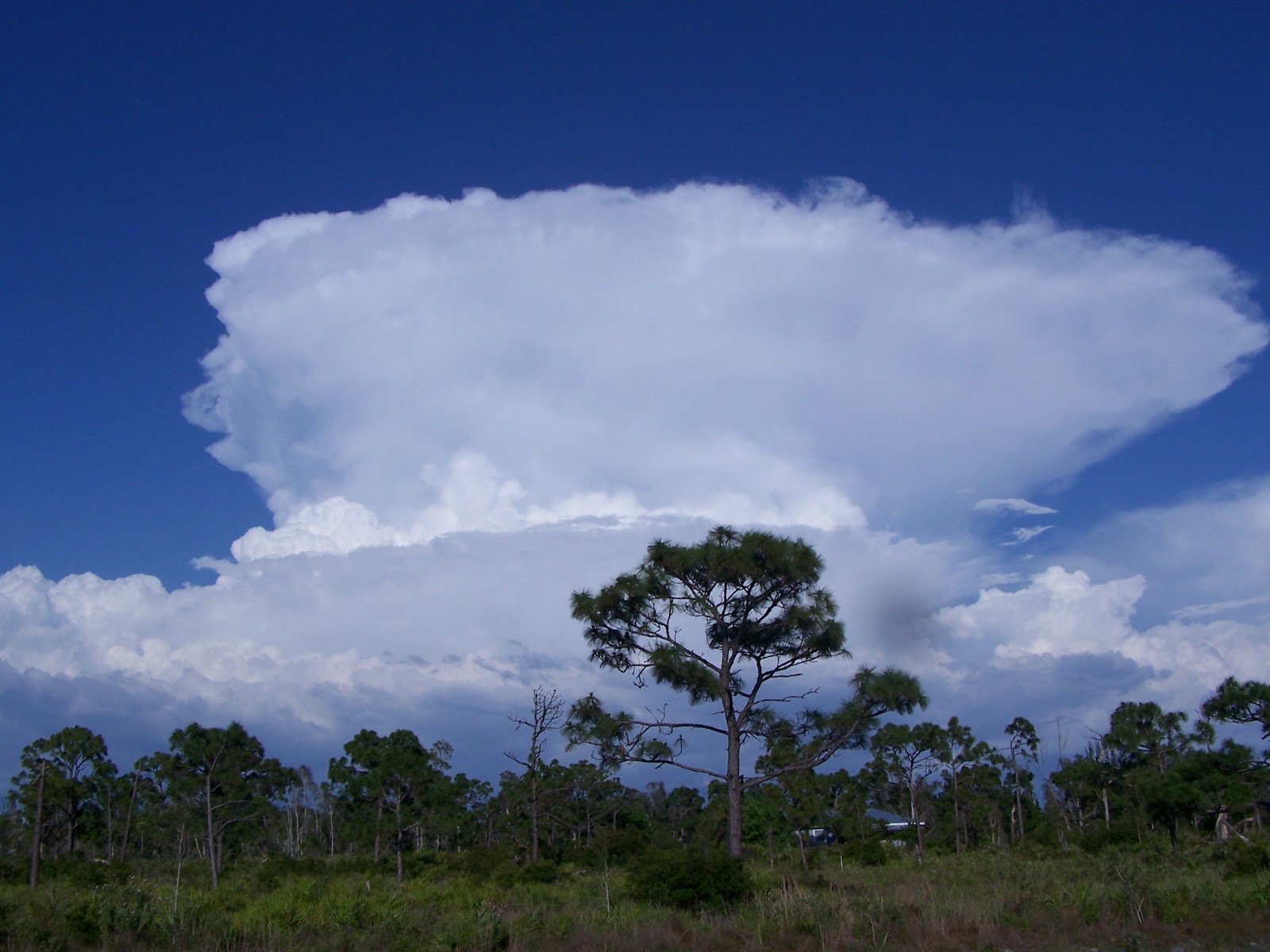 Pine Island, Florida 2012 Real Estate Sales on Pine Island, Thru July 31