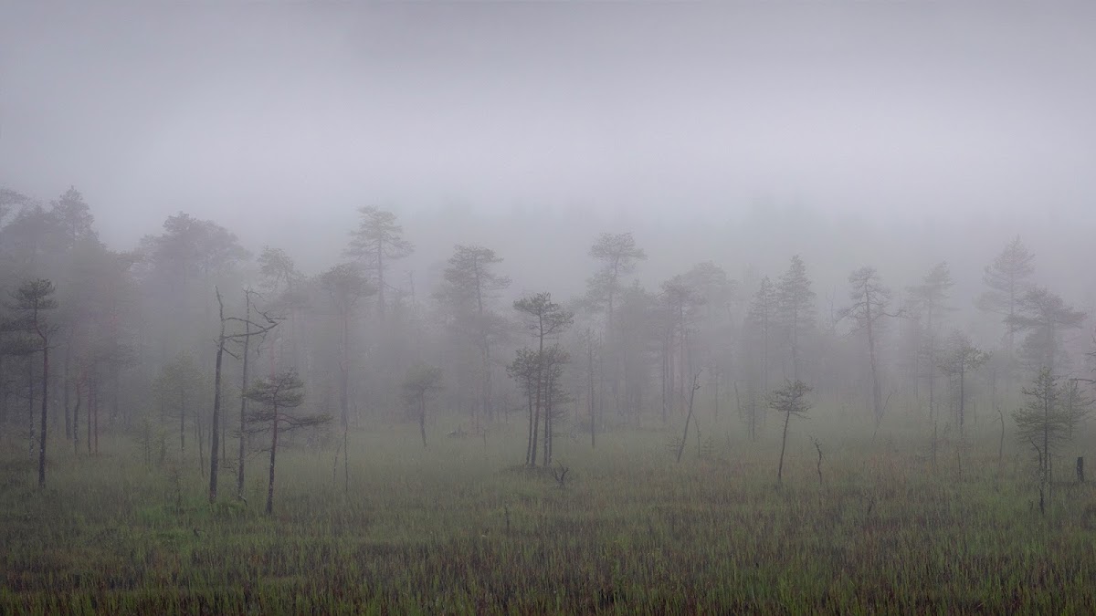 Природа и природный пейзаж в фотографиях