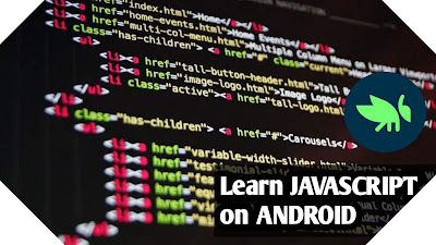 Learn Coding & Programming in Java/Javascript