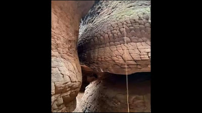 Giant Snake Scale Stone Found In Naka Cave Thailand In English 