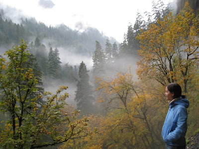 Woman taking in the view of colorful leaves and mist