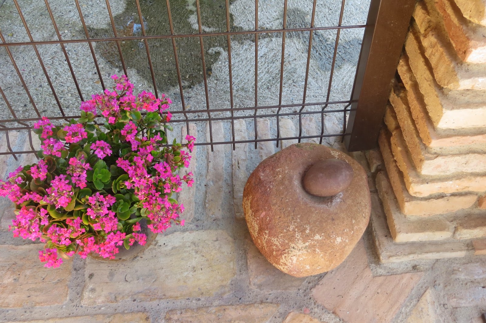 CPR.BEMBEZAR: LOS PATIOS DE CÉSPEDES EN LA PRIMAVERA DEL AÑO 2014