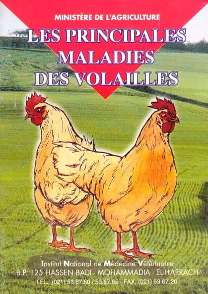 Maladies Des Volailles, PDF, Aviculture