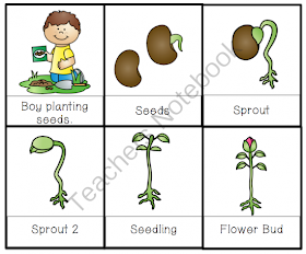 Let's Plant Seeds Printable ~ Preschool Printables